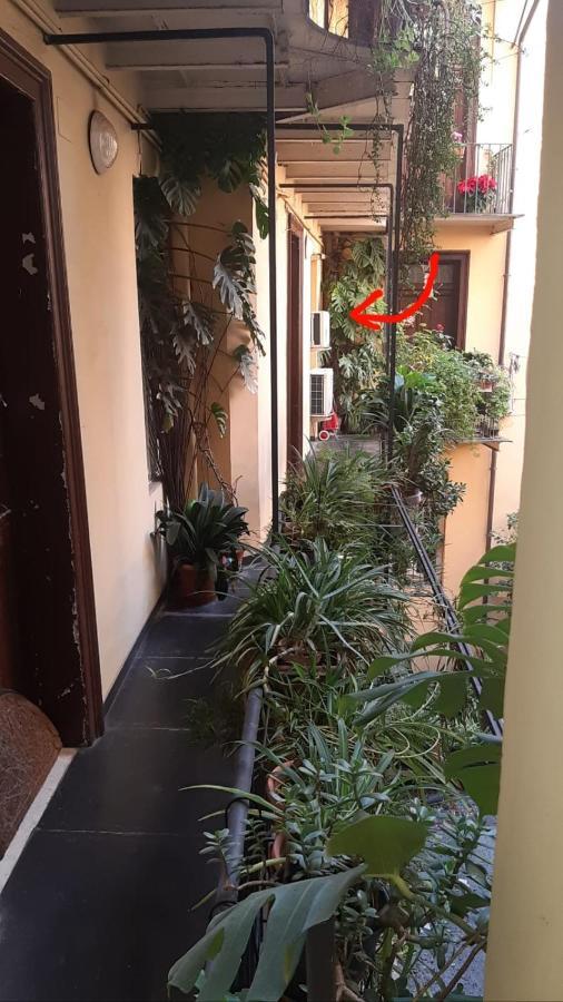 Charme De Rome Vatican Apartment Buitenkant foto
